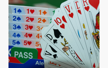 Bienvenue sur le site officiel du comité